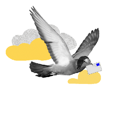 Carrier pigeon